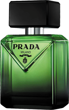 Perfumy 1